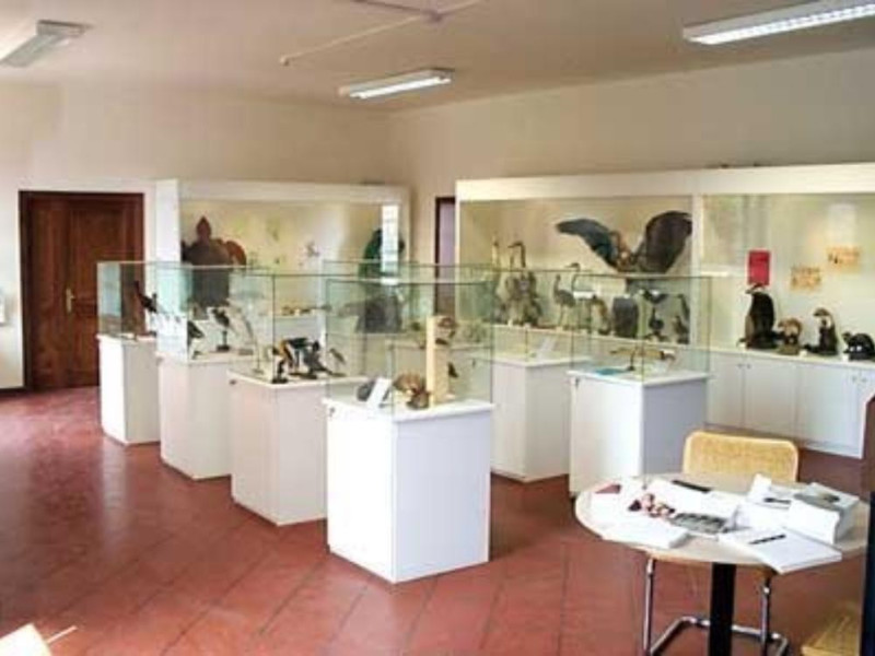 Immagine descrittiva - CC BY-SA Di Uomodis08 - Foto, CC BY-SA 3.0, https://commons.wikimedia.org/w/index.php?curid=7700612 Immagine descrittiva - CC BY-SA Di Uomodis08 - Foto, CC BY-SA 3.0, https://commons.wikimedia.org/w/index.php?curid=7700612