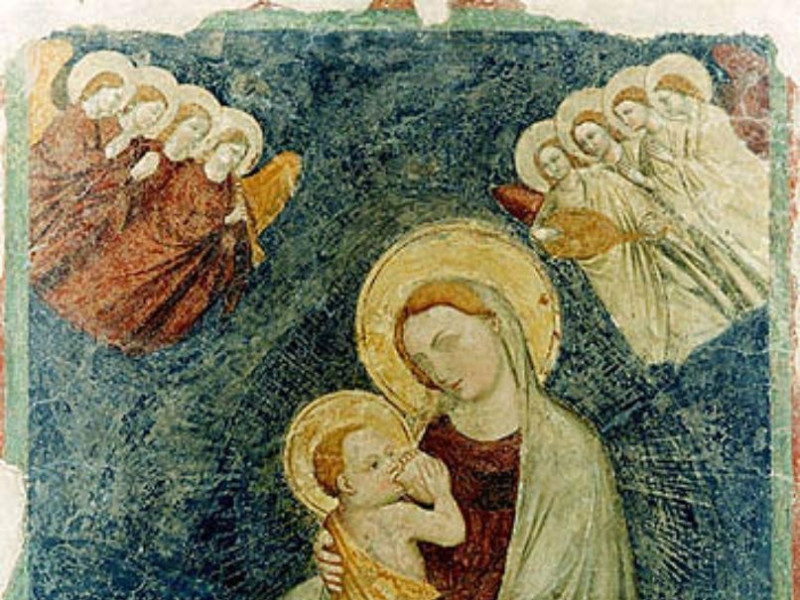 Galeata, Museo Civico "Mons. Domenico Mambrini" Galeata, Museo Civico "Mons. Domenico Mambrini"