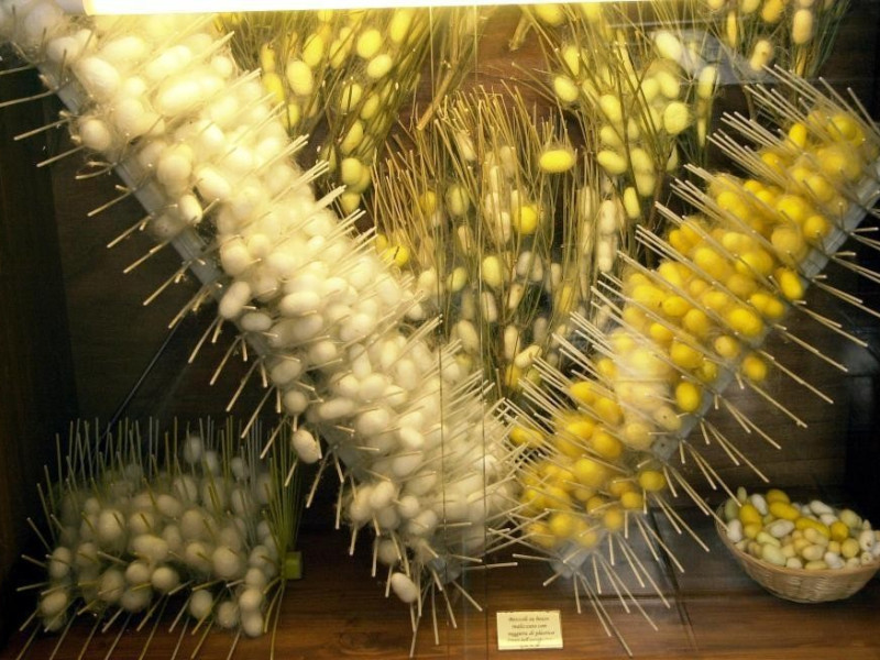 Meldola, Museo del Baco da Seta "C. Ronchi"