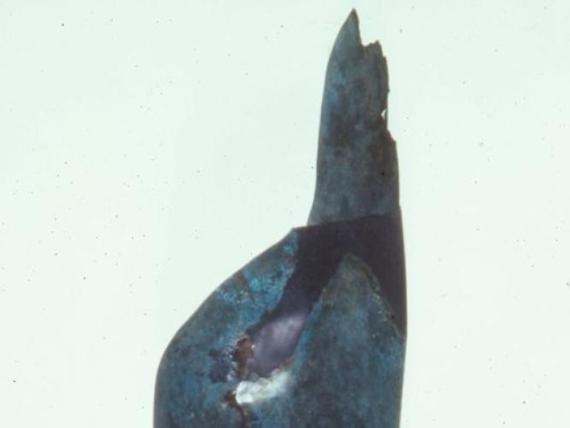 Savignano sul Rubicone, Museo Archeologico del Compito "Don Giorgio Franchini"