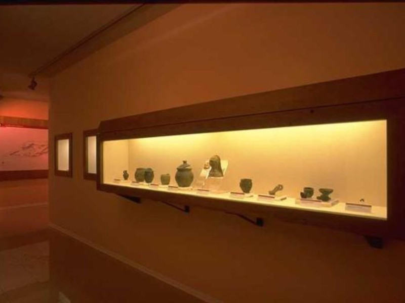 ANTIQUARIUM PITINUM MERGENS ANTIQUARIUM PITINUM MERGENS
