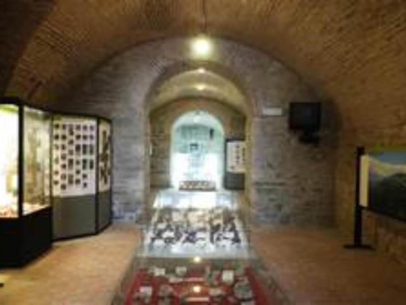 MUSEO DEI FOSSILI E MINERALI DEL MONTE NERONE MUSEO DEI FOSSILI E MINERALI DEL MONTE NERONE