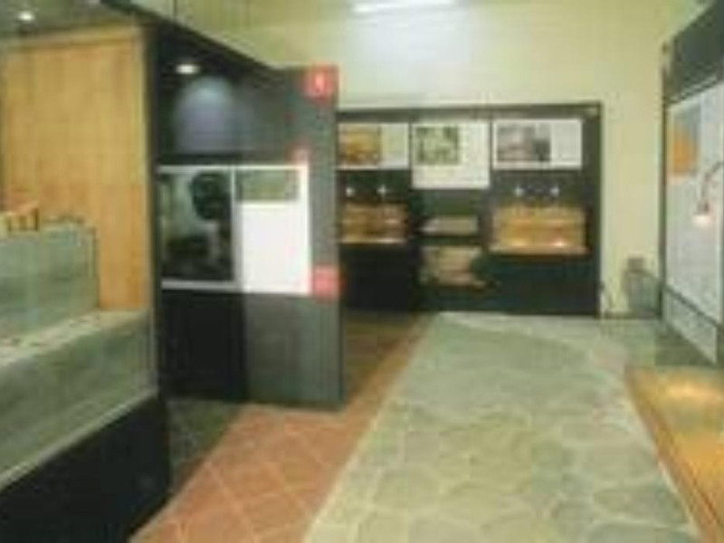 MUSEO ARCHEOLOGICO E DELLA VIA FLAMINIA 'G. C MUSEO ARCHEOLOGICO E DELLA VIA FLAMINIA 'G. C
