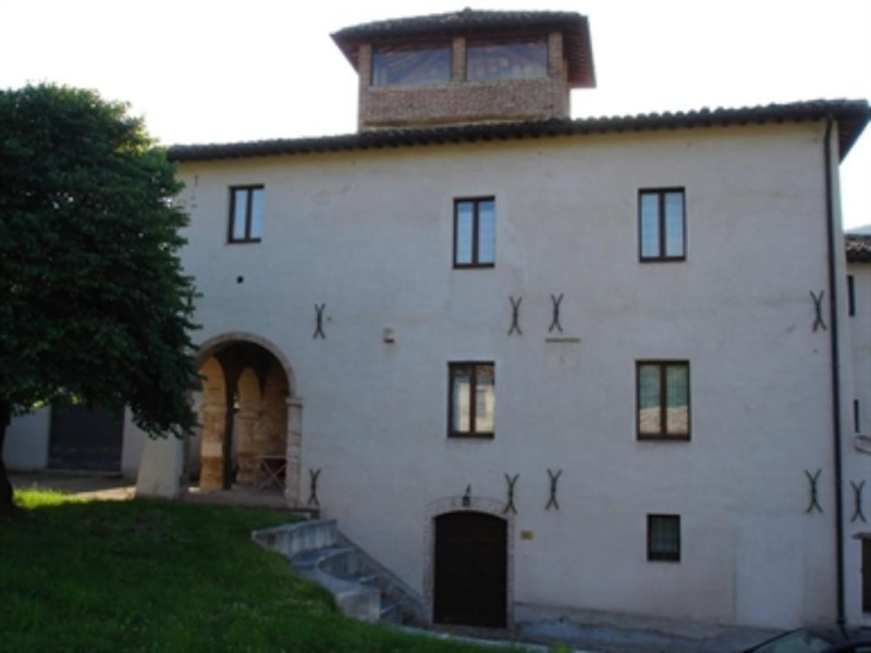 Museo dell'olio Museo dell'olio