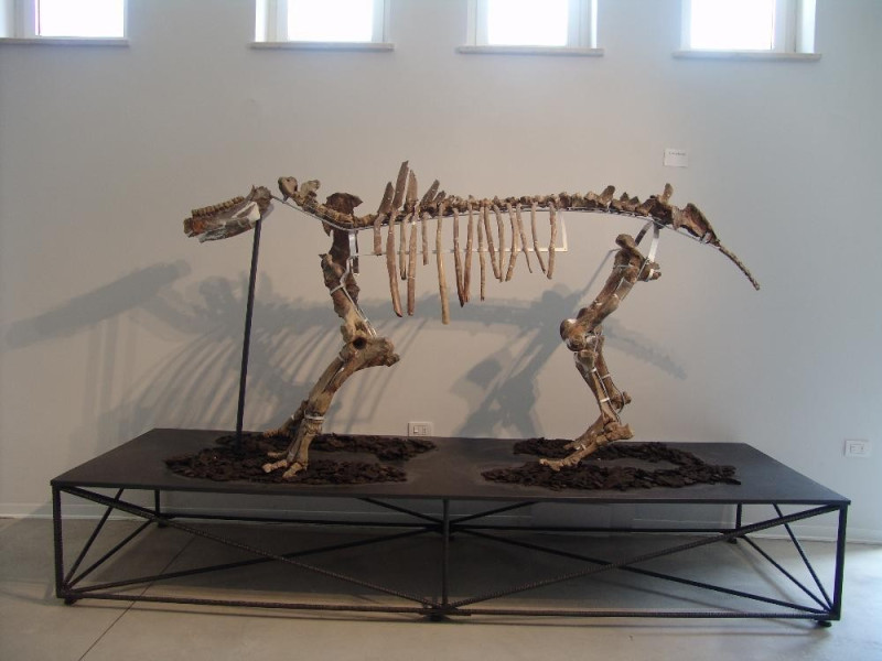 Laboratorio di restauro archeologico e paleon