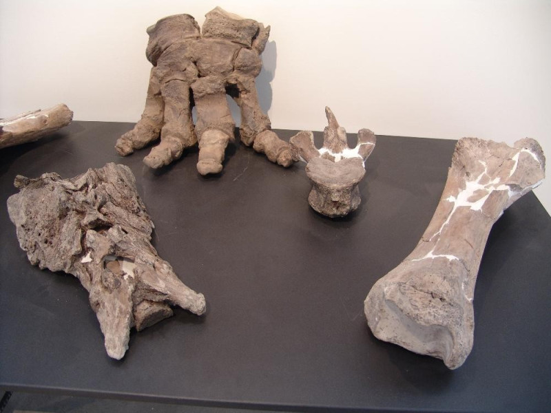 Laboratorio di restauro archeologico e paleon