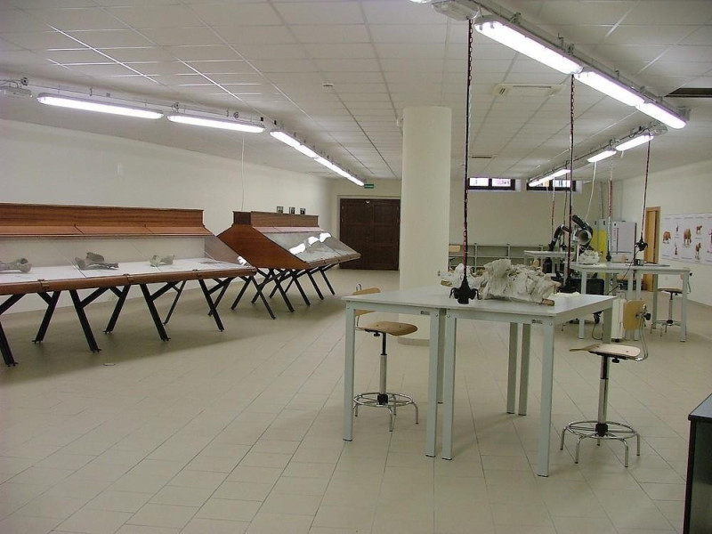 Laboratorio di restauro archeologico e paleon