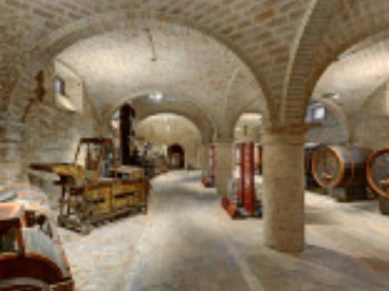 Museo del vino Museo del vino