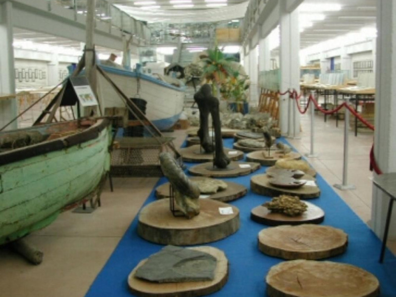 MUSEO MALACOLOGICO PICENO MUSEO MALACOLOGICO PICENO