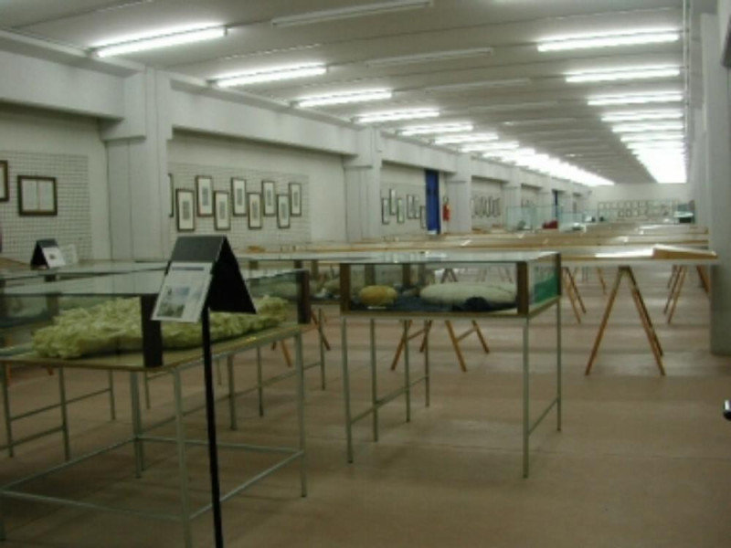 MUSEO MALACOLOGICO PICENO MUSEO MALACOLOGICO PICENO