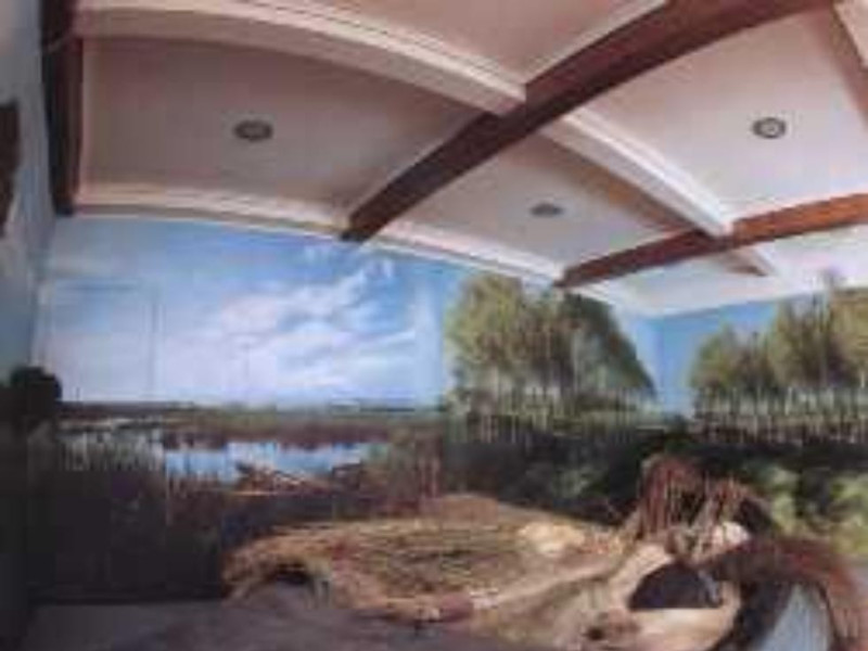 Monsummano Terme, MUSEO DELLA CITTA' E DEL TERRITORIO Monsummano Terme, MUSEO DELLA CITTA' E DEL TERRITORIO