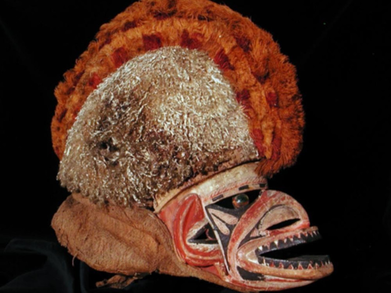 Firenze, MUSEO DI STORIA NATURALE DELL'UNIVERSITA' DI FIRENZE - SEZIONE ANTROPOLOGIA E ETNOLOGIA Firenze, MUSEO DI STORIA NATURALE DELL'UNIVERSITA' DI FIRENZE - SEZIONE ANTROPOLOGIA E ETNOLOGIA