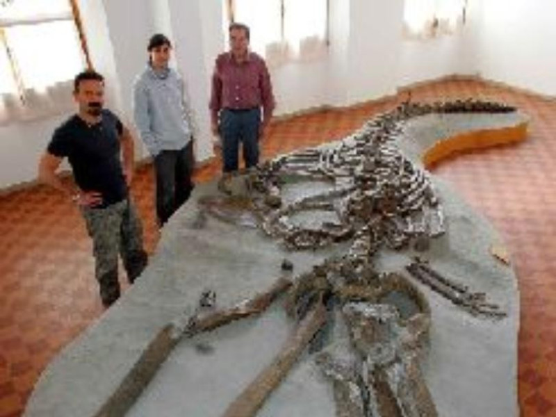 Scandicci, MUSEO PALEONTOLOGICO SCIENZA DELLA TERRA DEL GAMPS Scandicci, MUSEO PALEONTOLOGICO SCIENZA DELLA TERRA DEL GAMPS