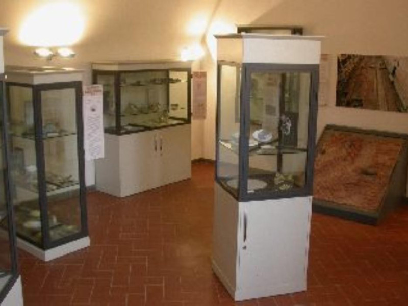 Castelfranco di Sotto, MUSEO ARCHEOLOGICO DI CASTELFRANCO DI SOTTO Castelfranco di Sotto, MUSEO ARCHEOLOGICO DI CASTELFRANCO DI SOTTO