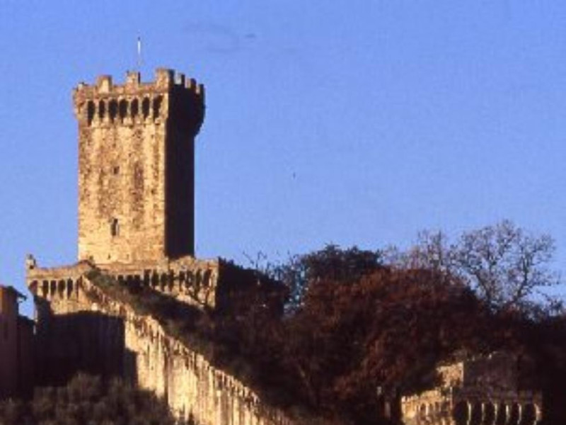 Vicopisano, COMPLESSO MONUMENTALE DI VICOPISANO: ROCCA DEL BRUNELLESCHI E PALAZZO PRETORIO Vicopisano, COMPLESSO MONUMENTALE DI VICOPISANO: ROCCA DEL BRUNELLESCHI E PALAZZO PRETORIO