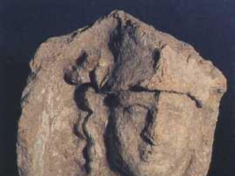 Bibbiena, MUSEO ARCHEOLOGICO DEL CASENTINO Bibbiena, MUSEO ARCHEOLOGICO DEL CASENTINO