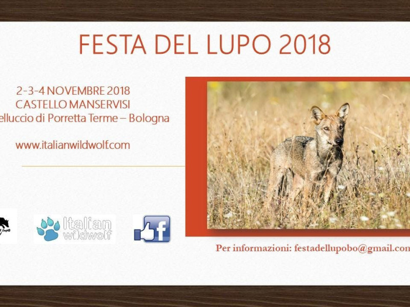 Festa del lupo 2018 - Il ruolo naturale del lupo Festa del lupo 2018 - Il ruolo naturale del lupo