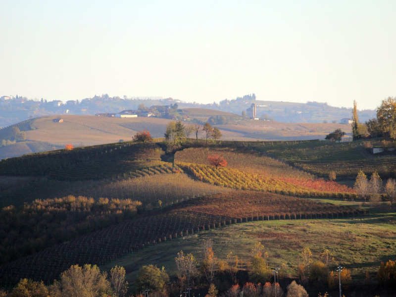 Paesaggi vitivinicoli del Piemonte - Siti UNESCO Paesaggi vitivinicoli del Piemonte - Siti UNESCO