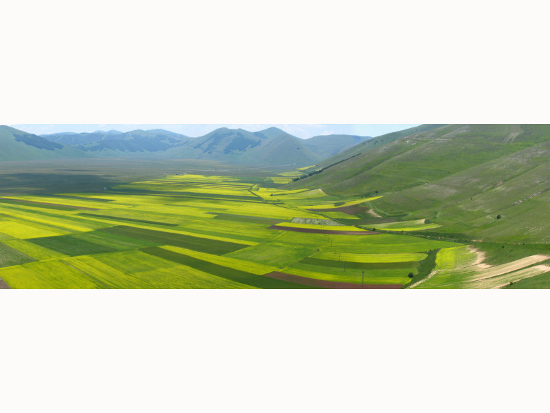 Parco nazionale Sibillini - Castelluccio in fiore Parco nazionale Sibillini - Castelluccio in fiore