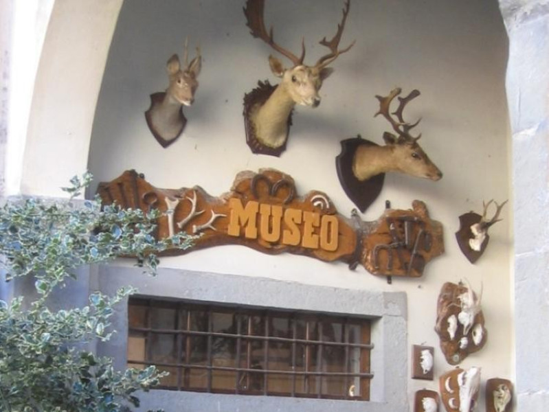 Stia, MUSEO DEL BOSCO E DELLA MONTAGNA - COLLEZIONE ORNITOLOGICA "C. BENI" Stia, MUSEO DEL BOSCO E DELLA MONTAGNA - COLLEZIONE ORNITOLOGICA "C. BENI"