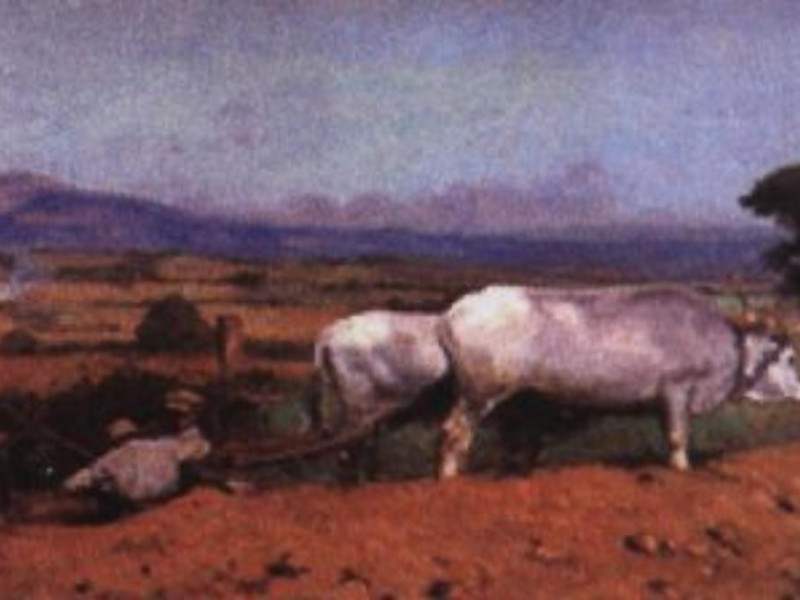 Orbetello, MUSEO DELLA CULTURA CONTADINA DI ALBINIA Orbetello, MUSEO DELLA CULTURA CONTADINA DI ALBINIA