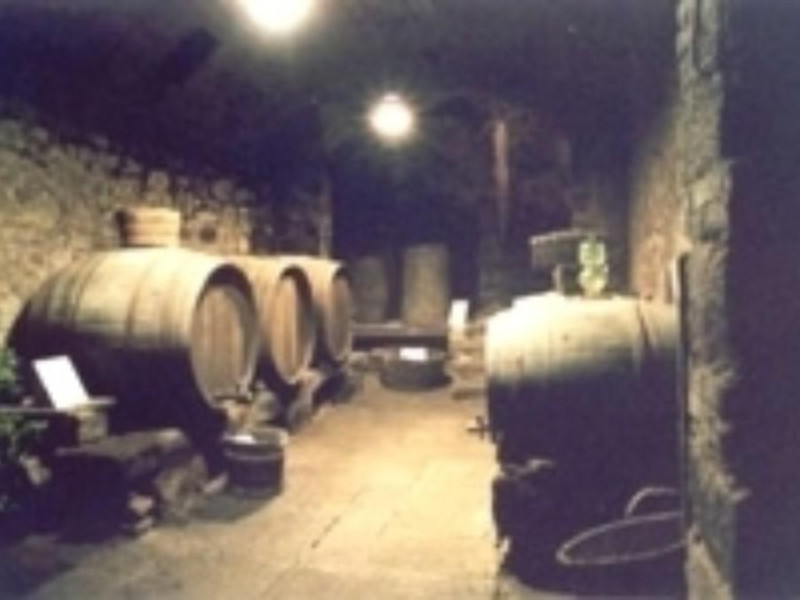 Roccastrada, MUSEO DELLA VITE E DEL VINO DI ROCCASTRADA Roccastrada, MUSEO DELLA VITE E DEL VINO DI ROCCASTRADA