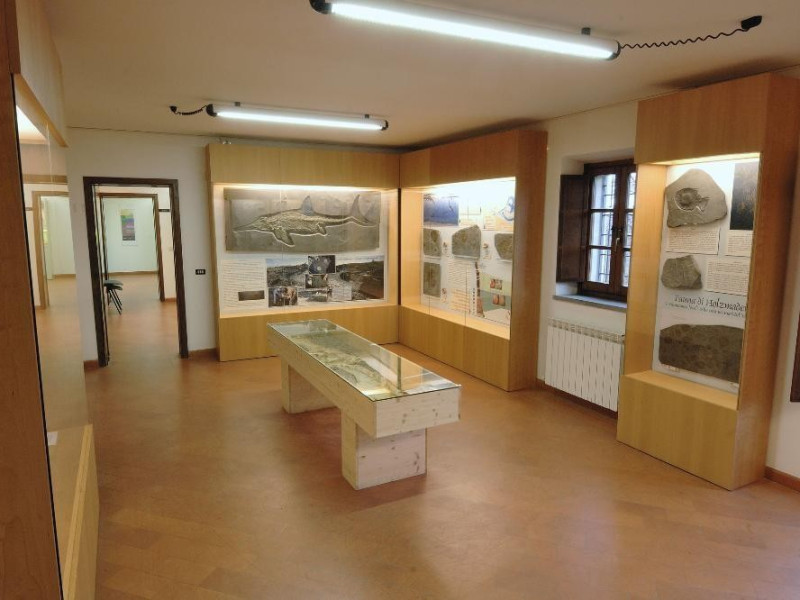Laboratorio ecologico di Geo-paleontologia. E Fedeli, Marcello; jpg; 2126 pixels; 1417 pixels Laboratorio ecologico di Geo-paleontologia. E Fedeli, Marcello; jpg; 2126 pixels; 1417 pixels