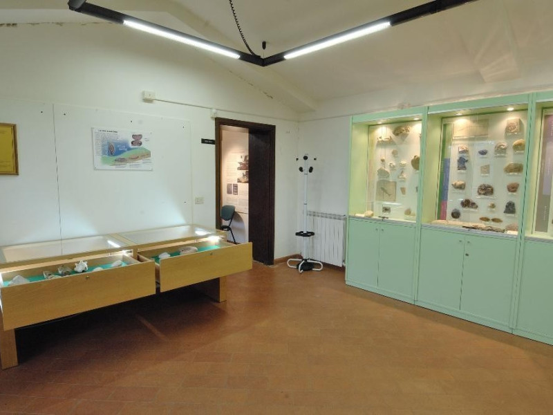 Laboratorio ecologico di Geo-paleontologia. E Fedeli, Marcello; jpg; 2126 pixels; 1417 pixels Laboratorio ecologico di Geo-paleontologia. E Fedeli, Marcello; jpg; 2126 pixels; 1417 pixels