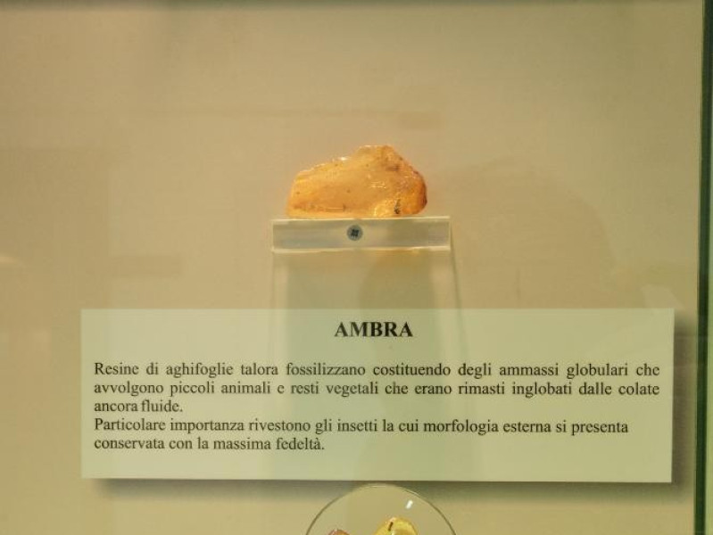Laboratorio ecologico di Geo-paleontologia. E Fedeli, Marcello; jpg; 1417 pixels; 2126 pixels Laboratorio ecologico di Geo-paleontologia. E Fedeli, Marcello; jpg; 1417 pixels; 2126 pixels