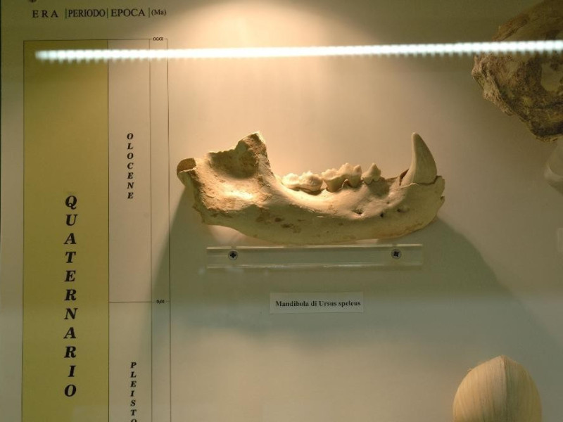 Laboratorio ecologico di Geo-paleontologia. E Fedeli, Marcello; jpg; 2126 pixels; 1417 pixels Laboratorio ecologico di Geo-paleontologia. E Fedeli, Marcello; jpg; 2126 pixels; 1417 pixels