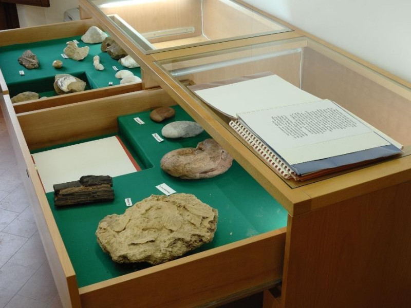 Laboratorio ecologico di Geo-paleontologia. E Fedeli, Marcello; jpg; 2126 pixels; 1417 pixels Laboratorio ecologico di Geo-paleontologia. E Fedeli, Marcello; jpg; 2126 pixels; 1417 pixels