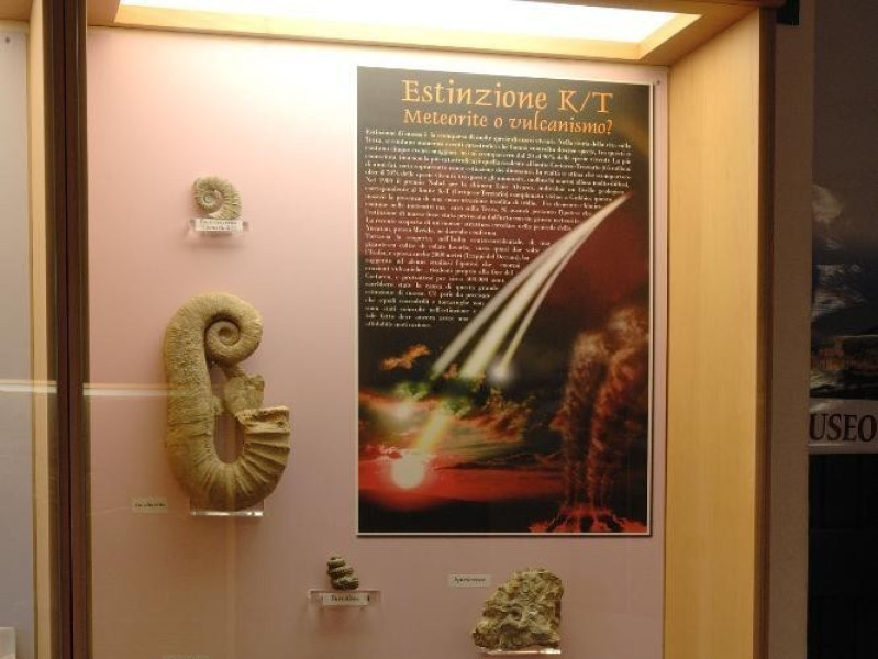 Laboratorio ecologico di Geo-paleontologia. E Fedeli, Marcello; jpg; 1417 pixels; 2126 pixels Laboratorio ecologico di Geo-paleontologia. E Fedeli, Marcello; jpg; 1417 pixels; 2126 pixels