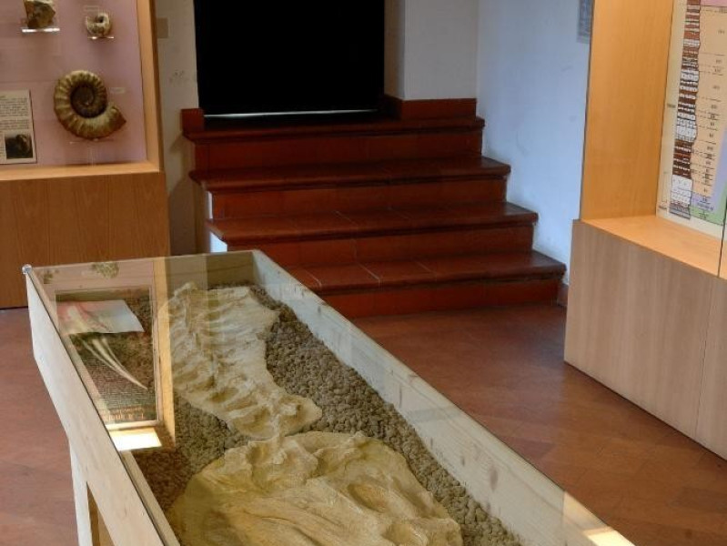 Laboratorio ecologico di Geo-paleontologia. E Fedeli, Marcello; jpg; 1417 pixels; 2126 pixels Laboratorio ecologico di Geo-paleontologia. E Fedeli, Marcello; jpg; 1417 pixels; 2126 pixels