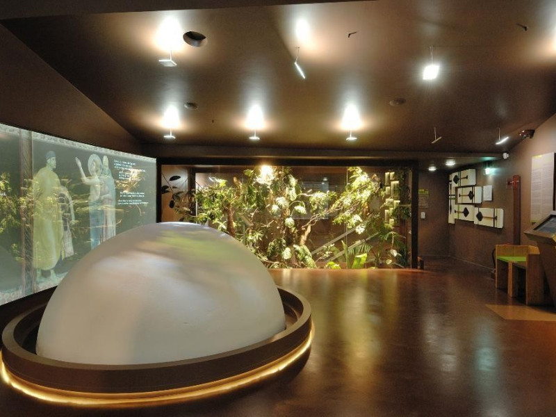 Sala espositiva Fedeli, Marcello; jpg; 2126 pixels; 1417 pixels