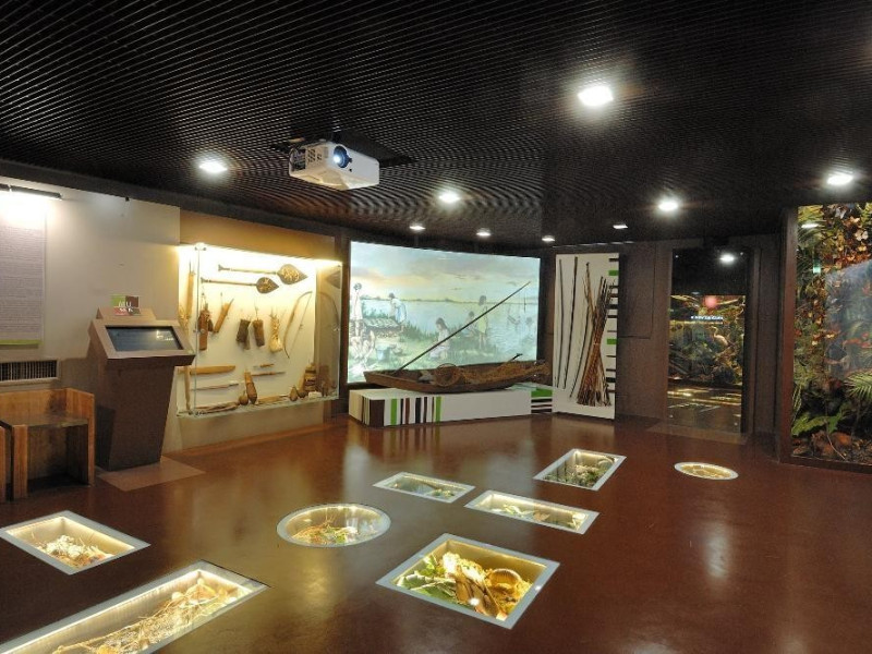 Sala espositiva Fedeli, Marcello; jpg; 2126 pixels; 1417 pixels