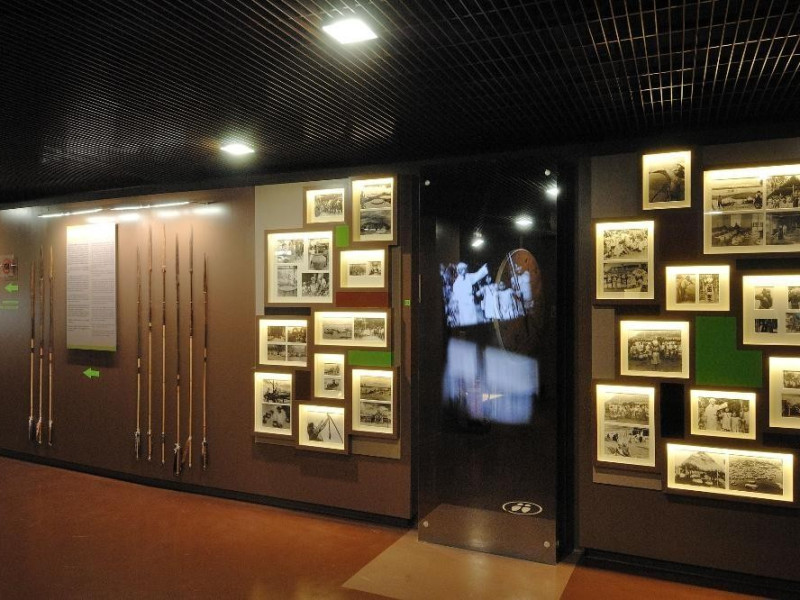 Sala espositiva Fedeli, Marcello; jpg; 2126 pixels; 1417 pixels