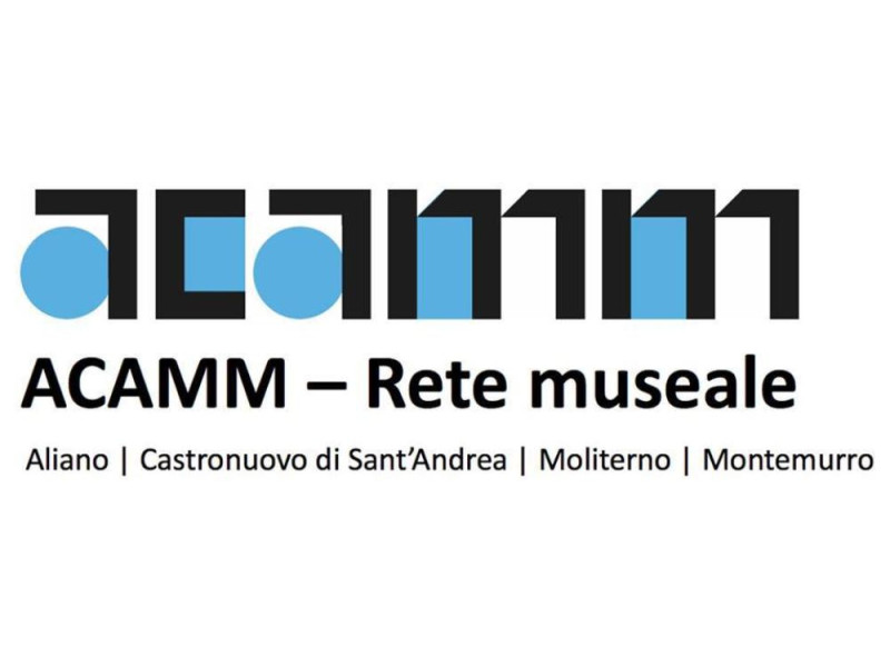 Logo ACAMM Logo ACAMM