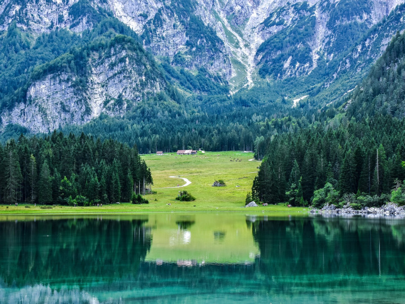 Immagine descrittiva - Immagine descrittiva -