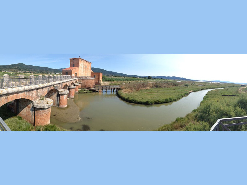 Immagine descrittiva - CC BY-SA Di DarTar - Opera propria, CC BY-SA 3.0, https://commons.wikimedia.org/w/index.php?curid=27017783