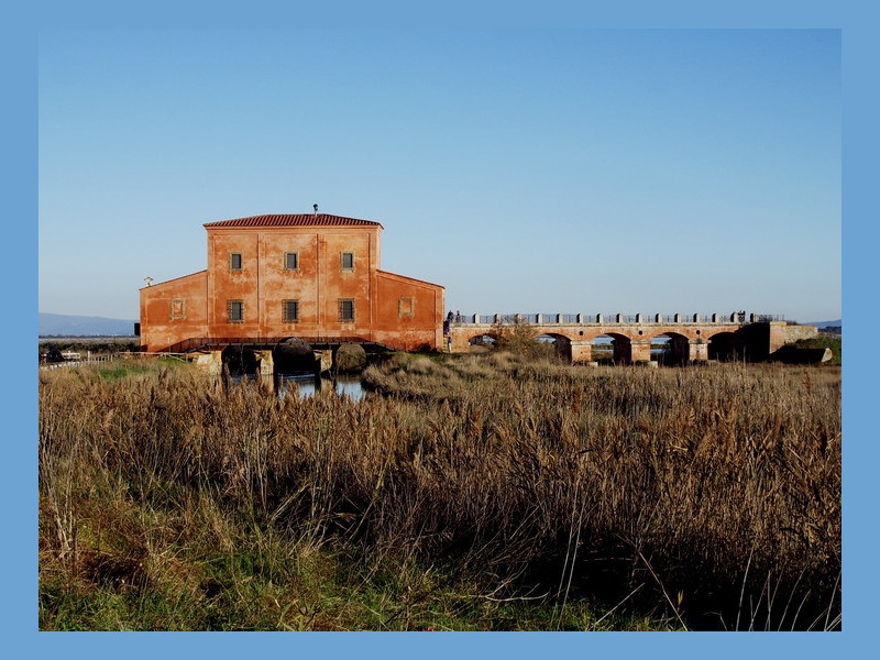 Immagine descrittiva - CC BY Di Petitverdot: Matteo Vinattieri - Opera propria, CC BY 3.0, https://commons.wikimedia.org/w/index.php?curid=5404257