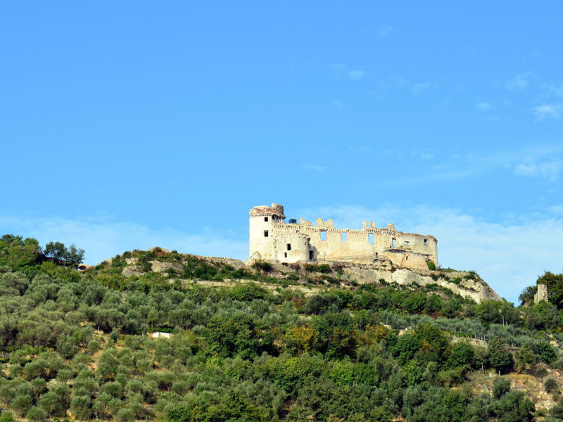 Immagine descrittiva - CC BY-SA Di Davide Papalini - Opera propria, CC BY-SA 3.0, https://commons.wikimedia.org/w/index.php?curid=35250856 Immagine descrittiva - CC BY-SA Di Davide Papalini - Opera propria, CC BY-SA 3.0, https://commons.wikimedia.org/w/index.php?curid=35250856