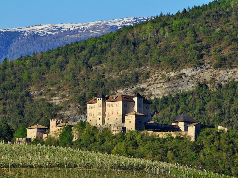 Immagine descrittiva - CC BY-SA Di © Matteo Ianeselli / Wikimedia Commons, CC BY-SA 3.0, https://commons.wikimedia.org/w/index.php?curid=14908395 Immagine descrittiva - CC BY-SA Di © Matteo Ianeselli / Wikimedia Commons, CC BY-SA 3.0, https://commons.wikimedia.org/w/index.php?curid=14908395