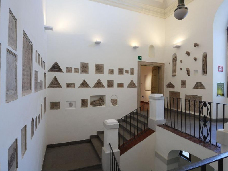 Sala espositiva. Collezione archeologica Fedeli, Marcello; jpg; 2126 pixels; 1417 pixels Sala espositiva. Collezione archeologica Fedeli, Marcello; jpg; 2126 pixels; 1417 pixels