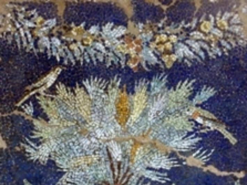Ninfeo a Mosaico - Massa Lubrense - I sec.d.C.particolare Ninfeo a Mosaico - Massa Lubrense - I sec.d.C.particolare