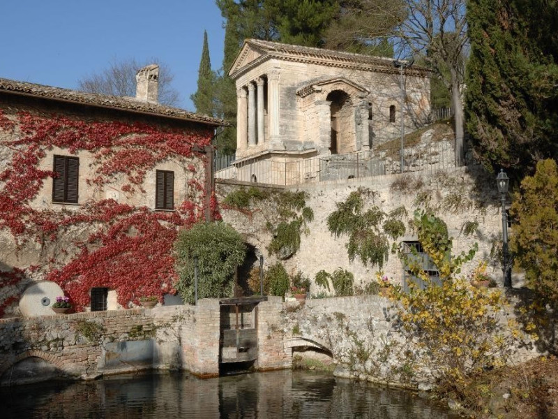 Chiesa di S. Salvatore. IV-V sec. d.C. Estern Fedeli, Marcello; jpg; 2126 pixels; 1417 pixels Chiesa di S. Salvatore. IV-V sec. d.C. Estern Fedeli, Marcello; jpg; 2126 pixels; 1417 pixels