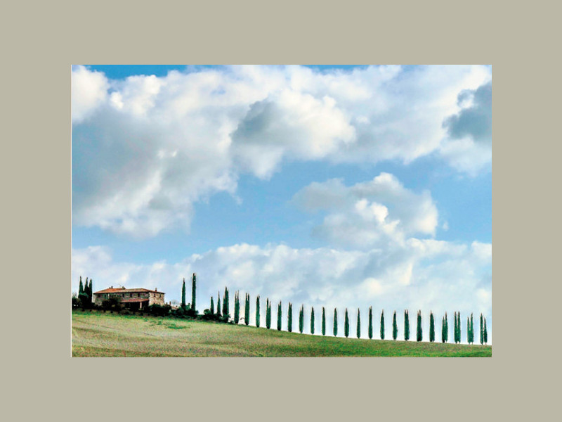 Immagine descrittiva - BY Pizzirani - Comunicato Stampa Fondazione Musei Senesi Immagine descrittiva - BY Pizzirani - Comunicato Stampa Fondazione Musei Senesi