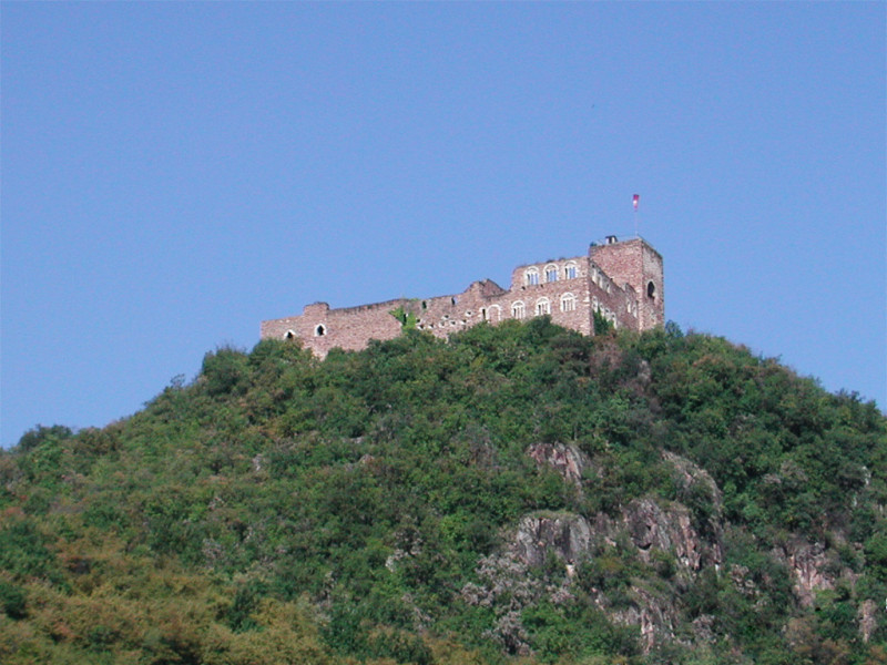 Immagine descrittiva - CC BY-SA Di L'utente che ha caricato in origine il file è stato Cepaea di Wikipedia in tedesco - Trasferito da de.wikipedia su Commons.(Testo originale: Digitalfoto), CC BY-SA 3.0, https://commons.wikimedia.org/w/index.php?curid=3054838 Immagine descrittiva - CC BY-SA Di L'utente che ha caricato in origine il file è stato Cepaea di Wikipedia in tedesco - Trasferito da de.wikipedia su Commons.(Testo originale: Digitalfoto), CC BY-SA 3.0, https://commons.wikimedia.org/w/index.php?curid=3054838