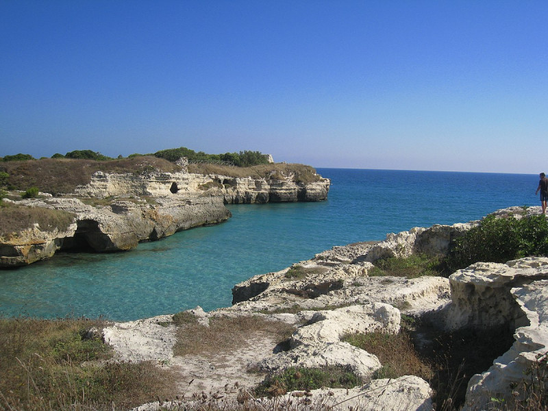 Immagine descrittiva - CC BY-SA Di Michele Sirchi, CC BY-SA 3.0, https://commons.wikimedia.org/w/index.php?curid=55150624 Immagine descrittiva - CC BY-SA Di Michele Sirchi, CC BY-SA 3.0, https://commons.wikimedia.org/w/index.php?curid=55150624
