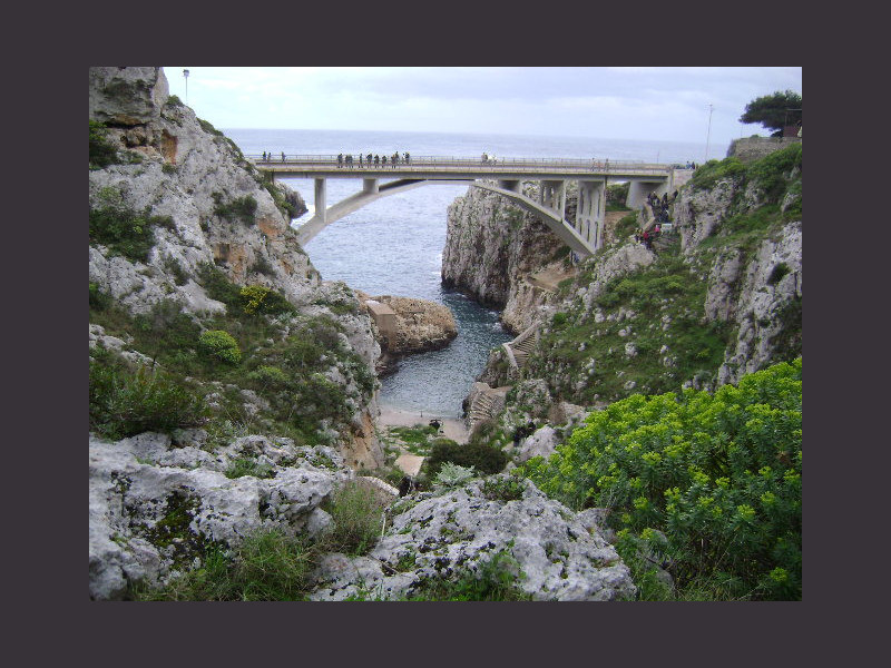 Immagine descrittiva - CC BY Di .[d]oppia.[d]i. - scatto personale, CC BY 3.0, https://commons.wikimedia.org/w/index.php?curid=15987709