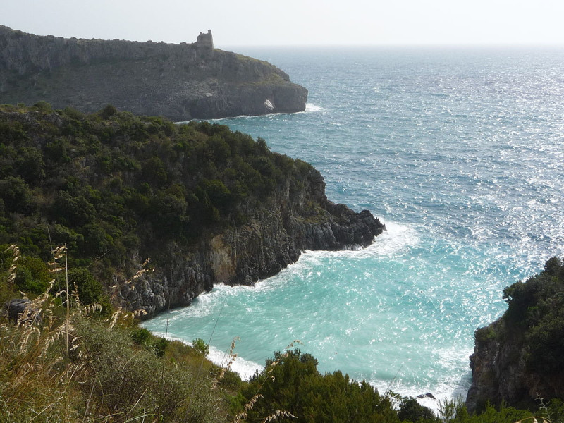 Immagine descrittiva - CC BY Di NPVF - Opera propria, CC BY 3.0, https://commons.wikimedia.org/w/index.php?curid=5117291 Immagine descrittiva - CC BY Di NPVF - Opera propria, CC BY 3.0, https://commons.wikimedia.org/w/index.php?curid=5117291